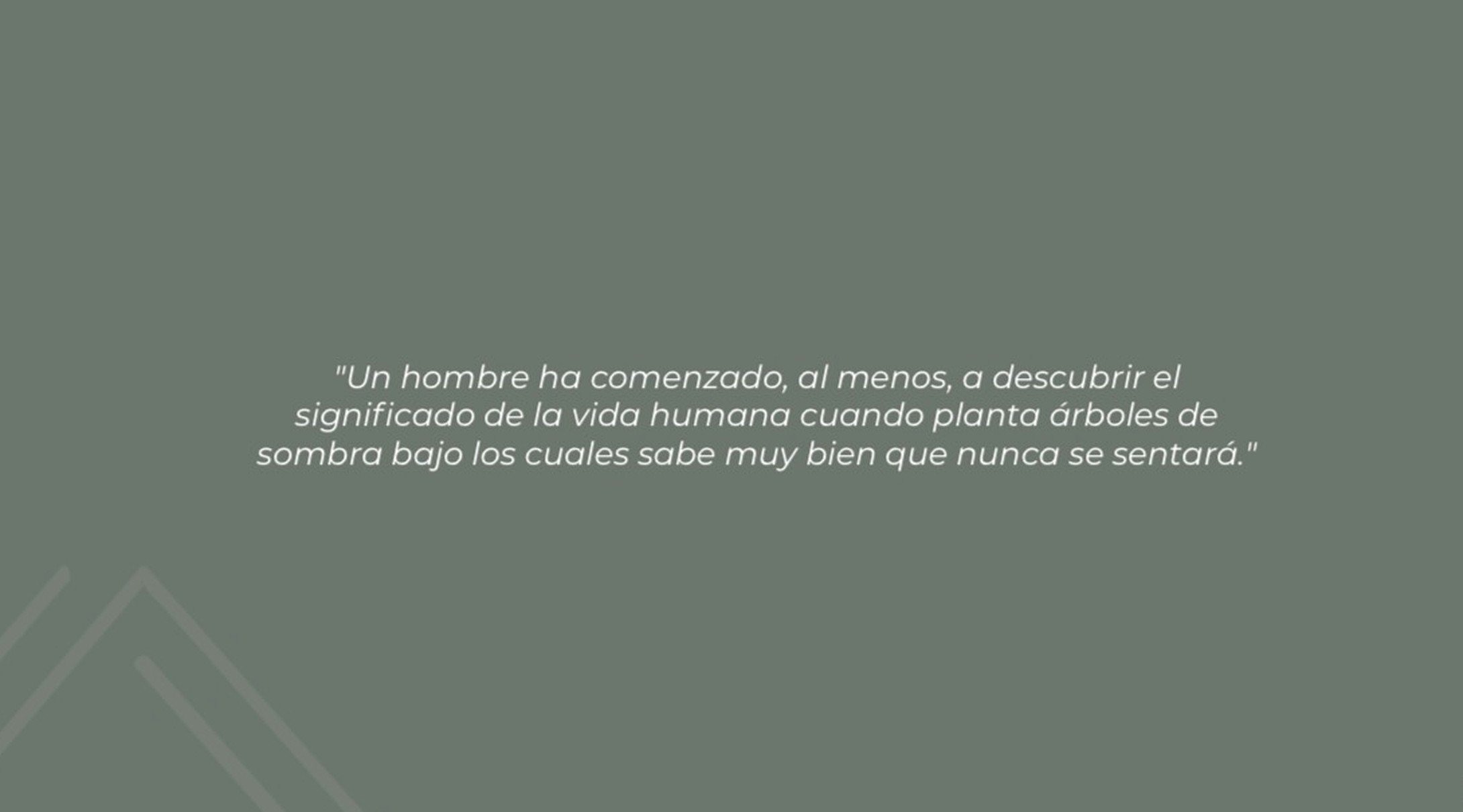 Cita sobre plantar árboles y cuidar el futuro